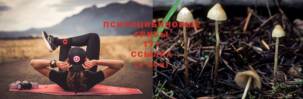 эйфоретик Алексеевка