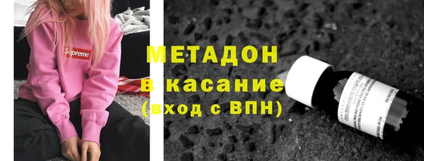 индика Алексин