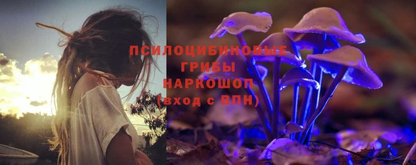 индика Алексин