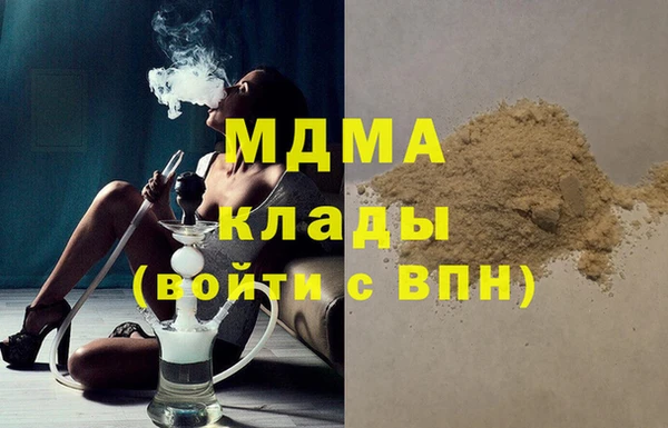 индика Алексин