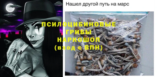 индика Алексин