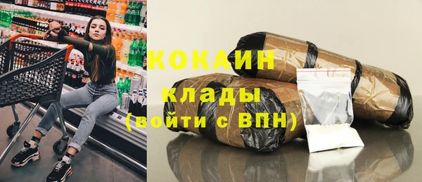 индика Алексин