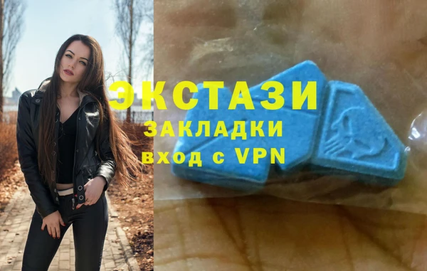 индика Алексин
