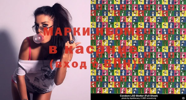индика Алексин