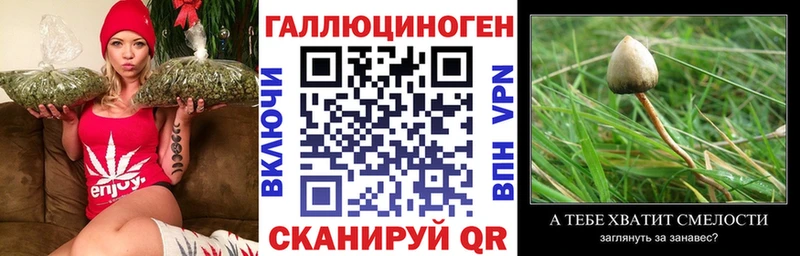 Галлюциногенные грибы Psilocybe  магазин  наркотиков  Анива 